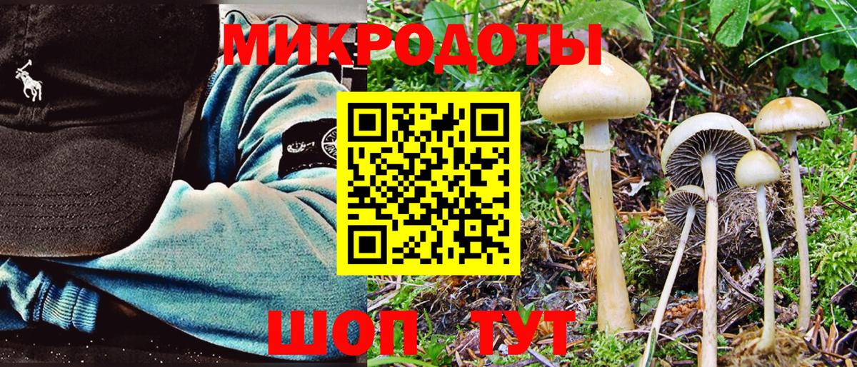 Галлюциногенные грибы Magic Shrooms Киселёвск