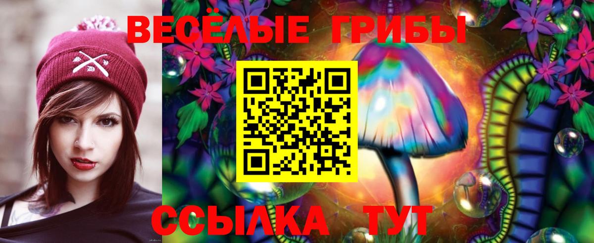 Псилоцибиновые грибы прущие грибы  Вход с VPN  Киселёвск  Галлюциногенные грибы Magic Shrooms 