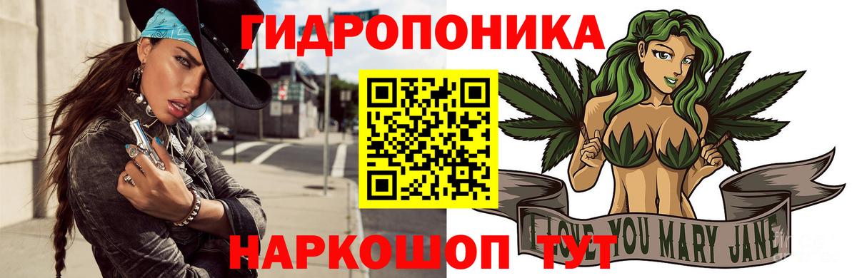 Каннабис индика Киселёвск
